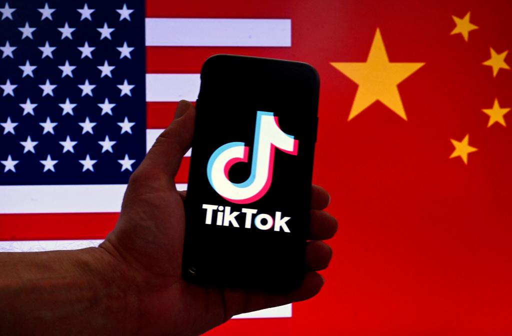 ByteDance, TikTok seek U.S. ban or sale pending Supreme Court review